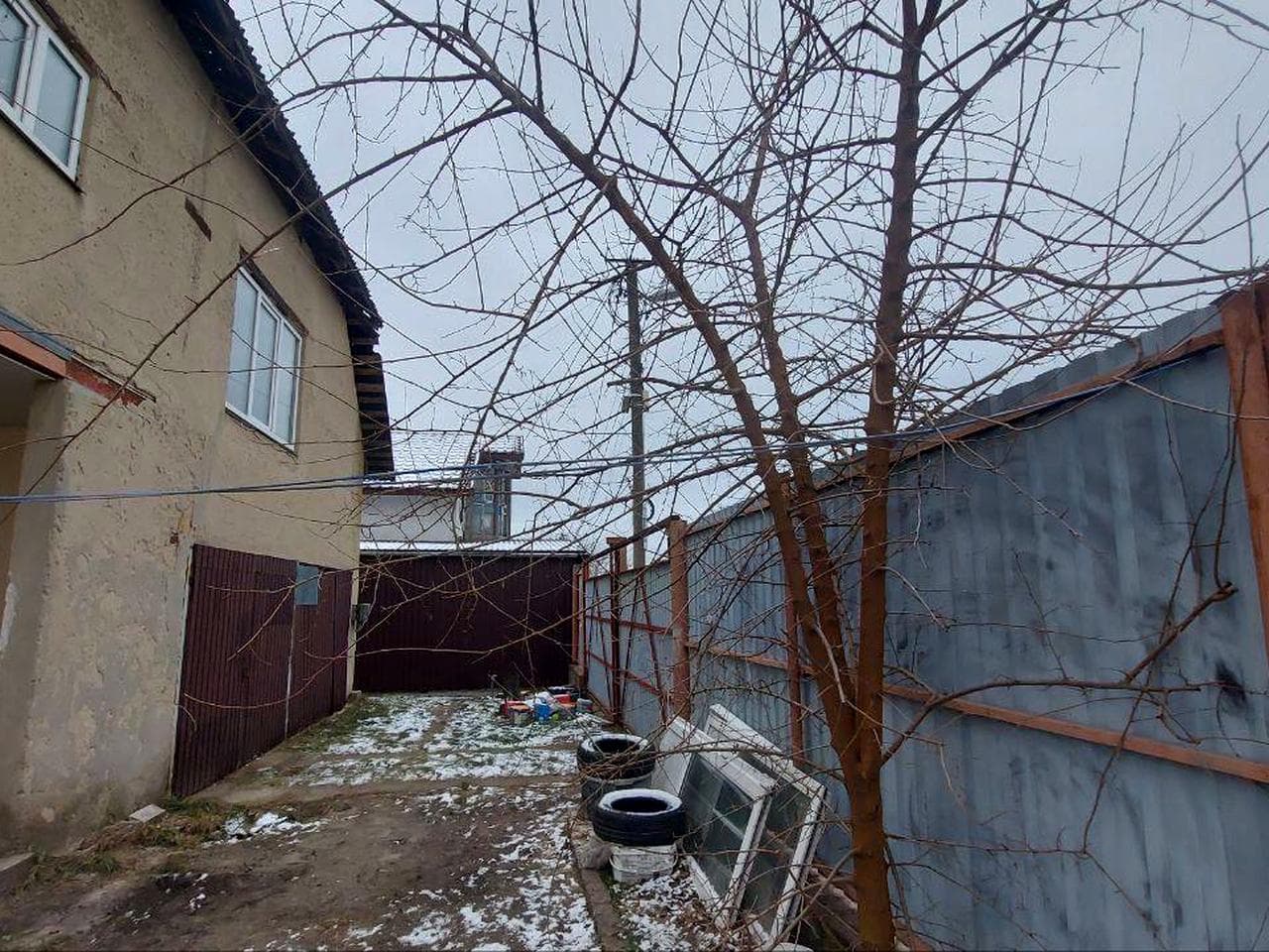профессора Кулишова