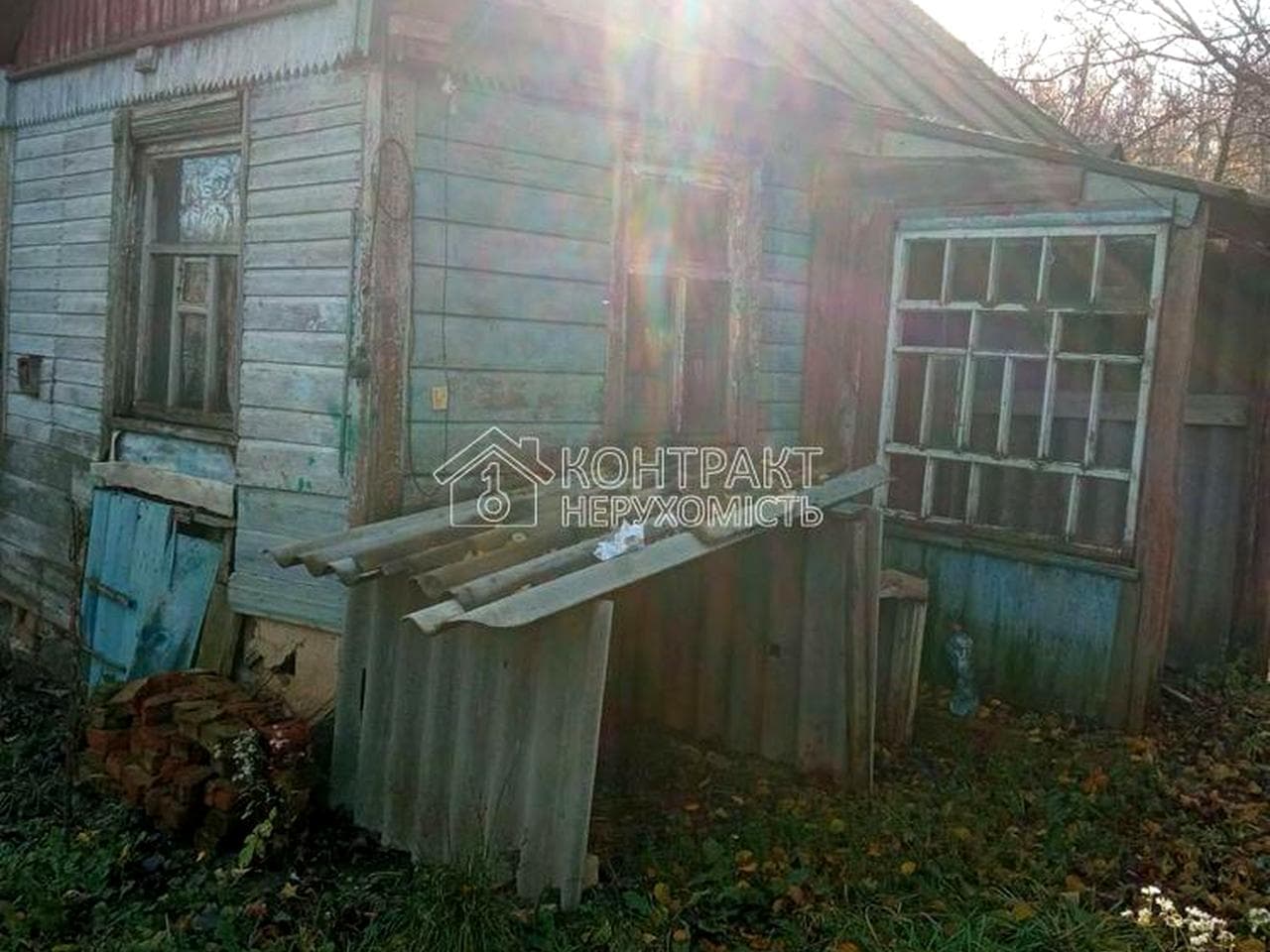 лісний