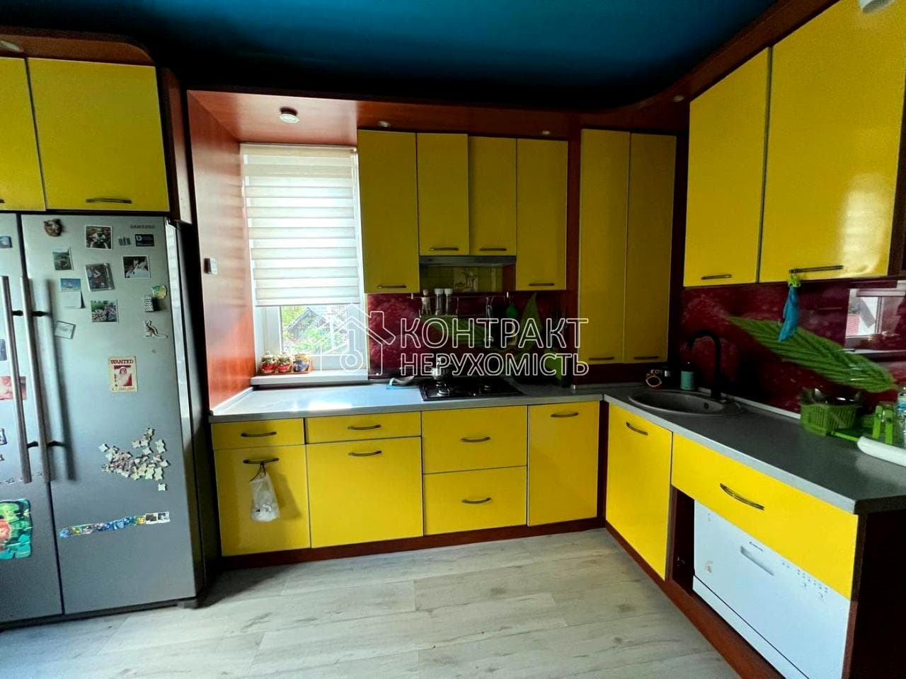 Конституції, 231