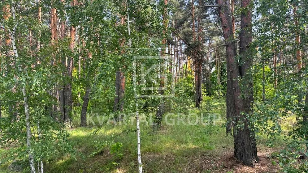 Гостомельське шосе