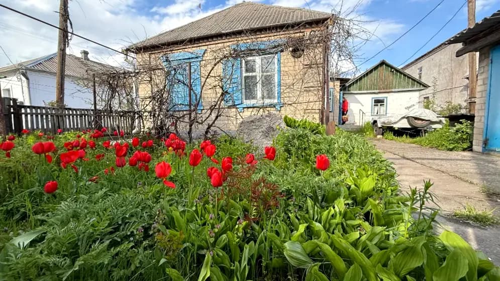 Волонтерська