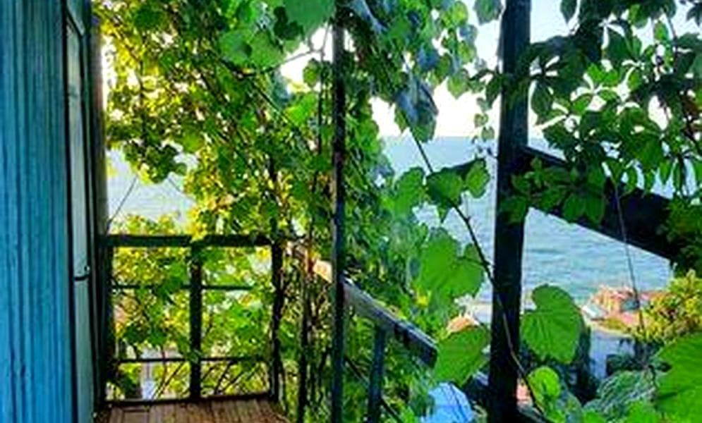 ‼️122 Причал‼️ 3  Совиньон Арка ‼️Вид на Море‼️