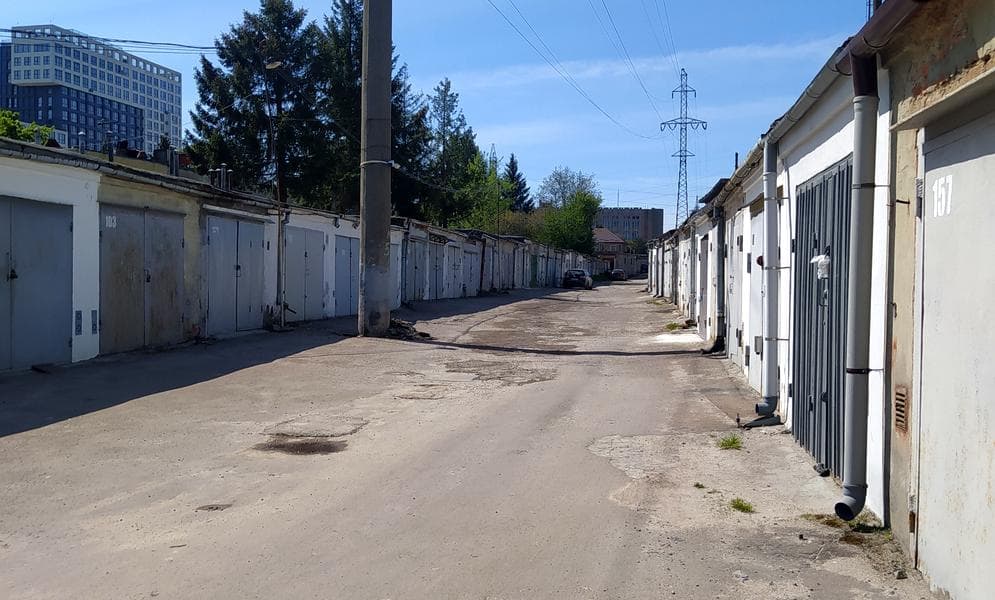 Буйка професора, 5