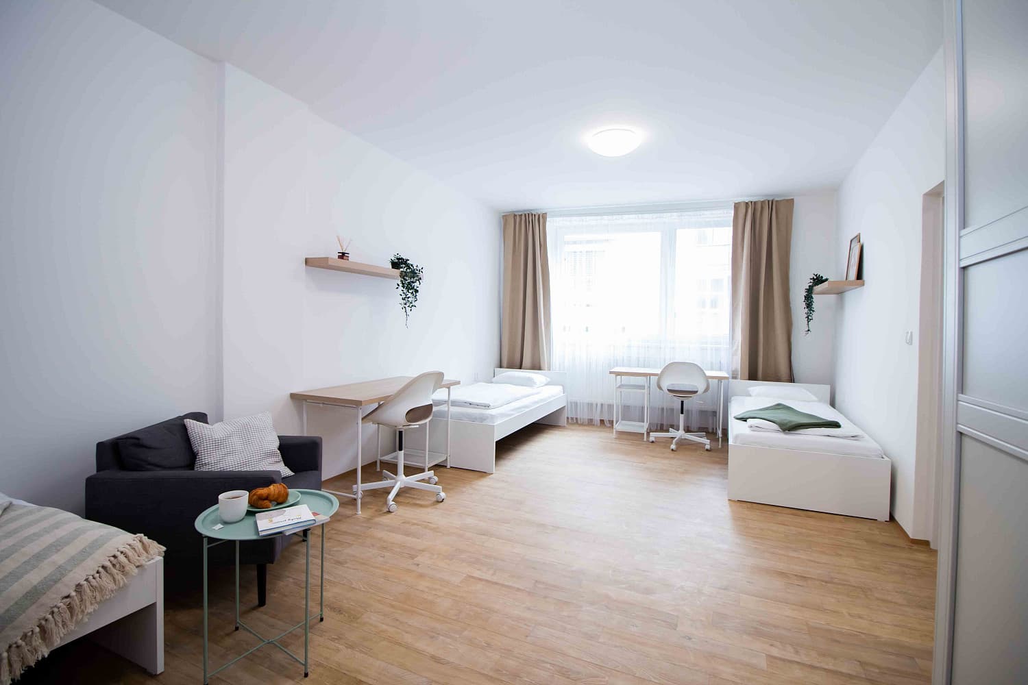 2 rooms, 74.0 m² in Brno