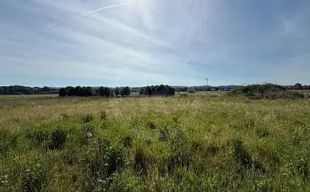 10 rooms, 501.0 m² in Ceske Budejovice