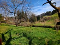 Maribor, Bresternica