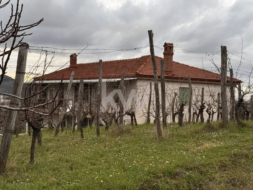 Obalno - kraška, Koper