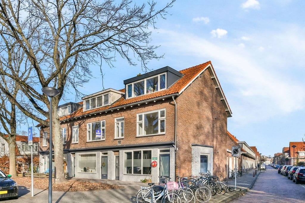 Roomburgerlaan