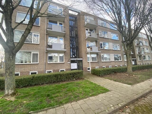 Zeepziedersdreef