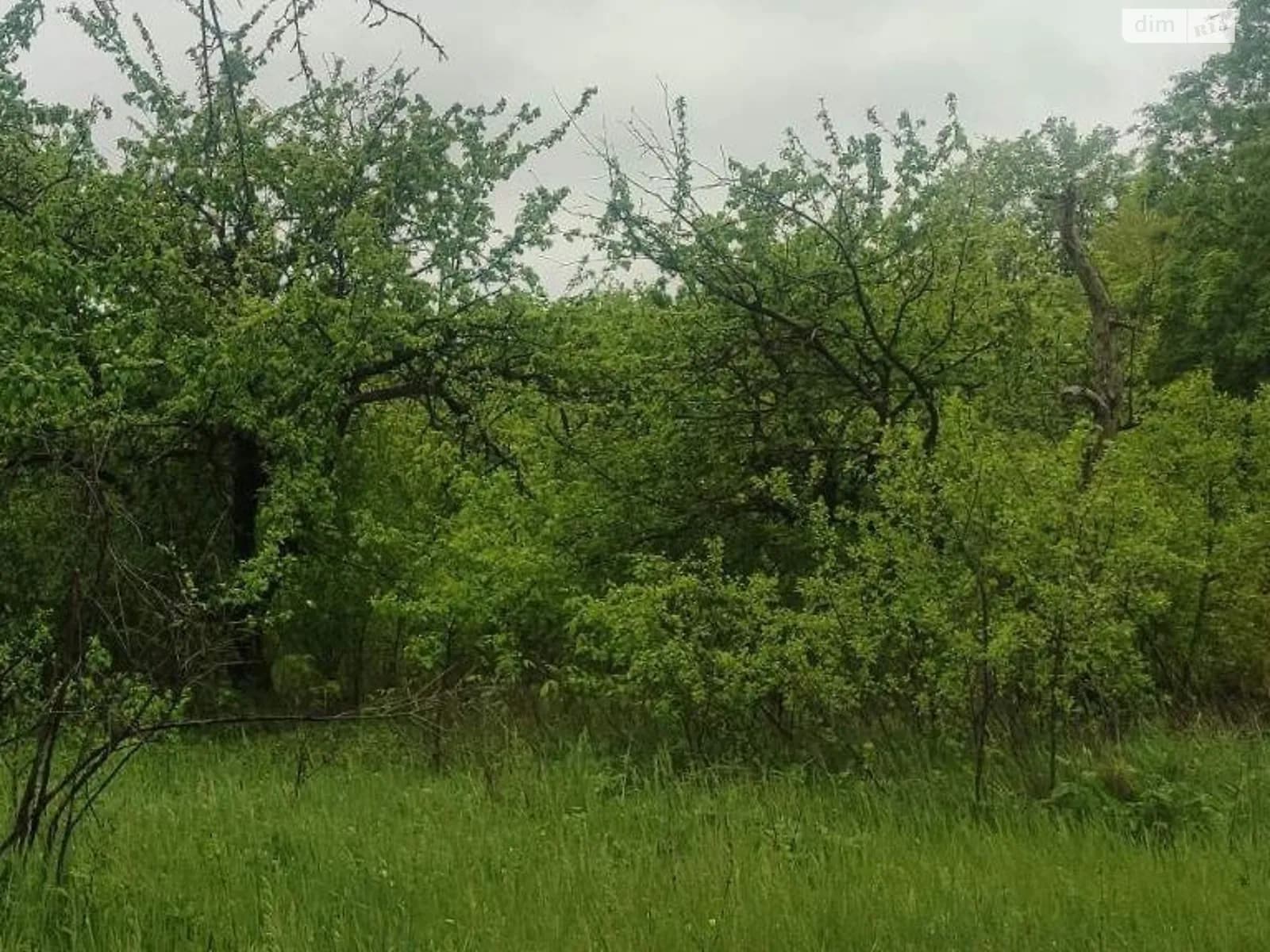 земельна ділянка, 1000.0 м², Chernihiv