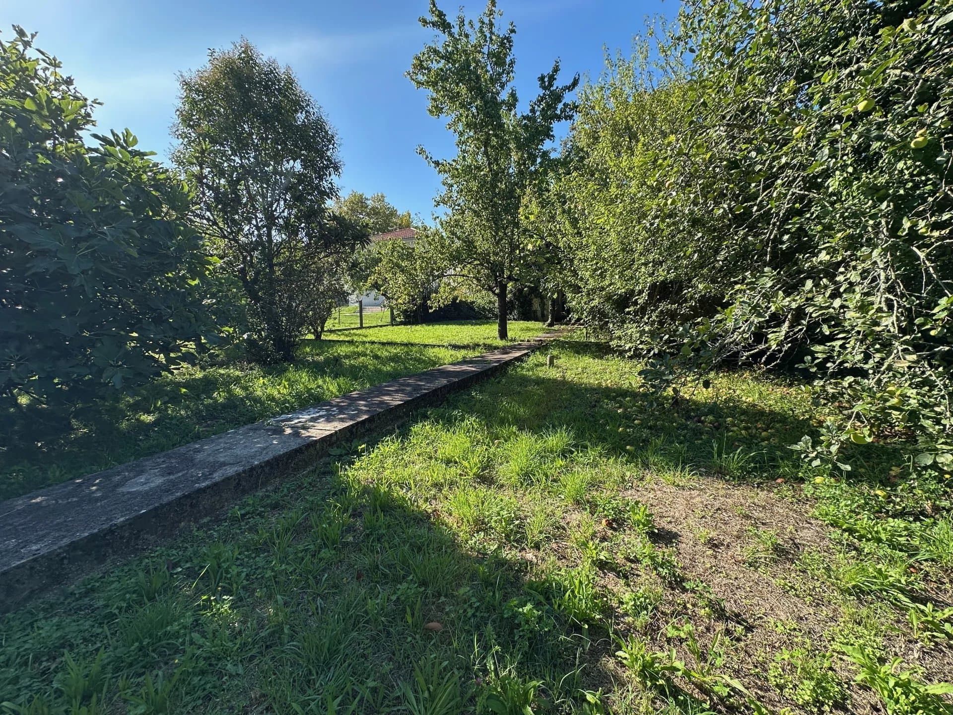 TERRAIN/ MAISON A RENOVER - Emplacement idéal