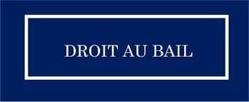 LOCAL COMMERCIAL COULEE VERTE 180M²