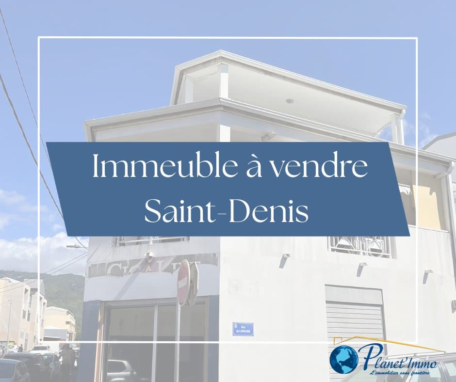 IMMEUBLE DE RAPPORT CENTRE DE SAINT DENIS