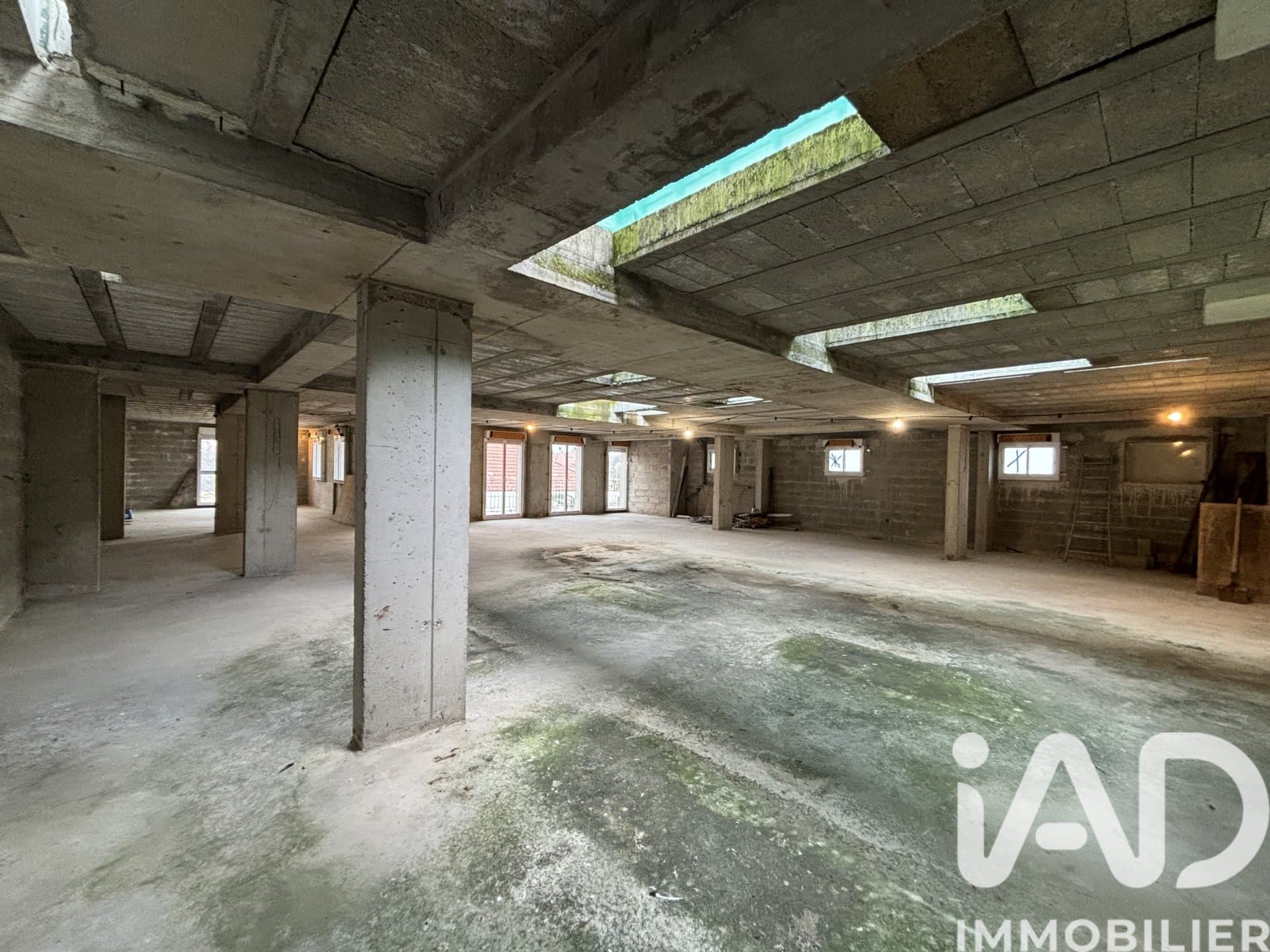 Vente Immeuble 1 600 m²