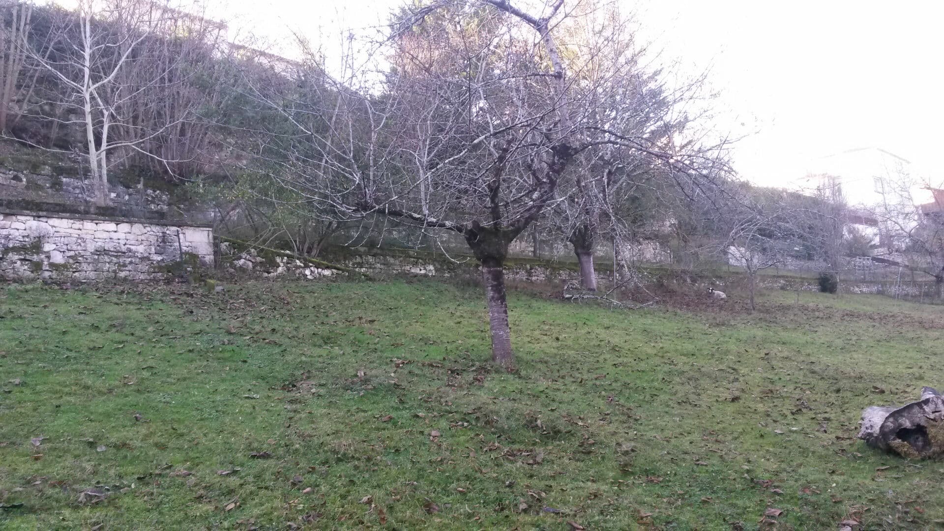 Terrain Niort - 3400 m2