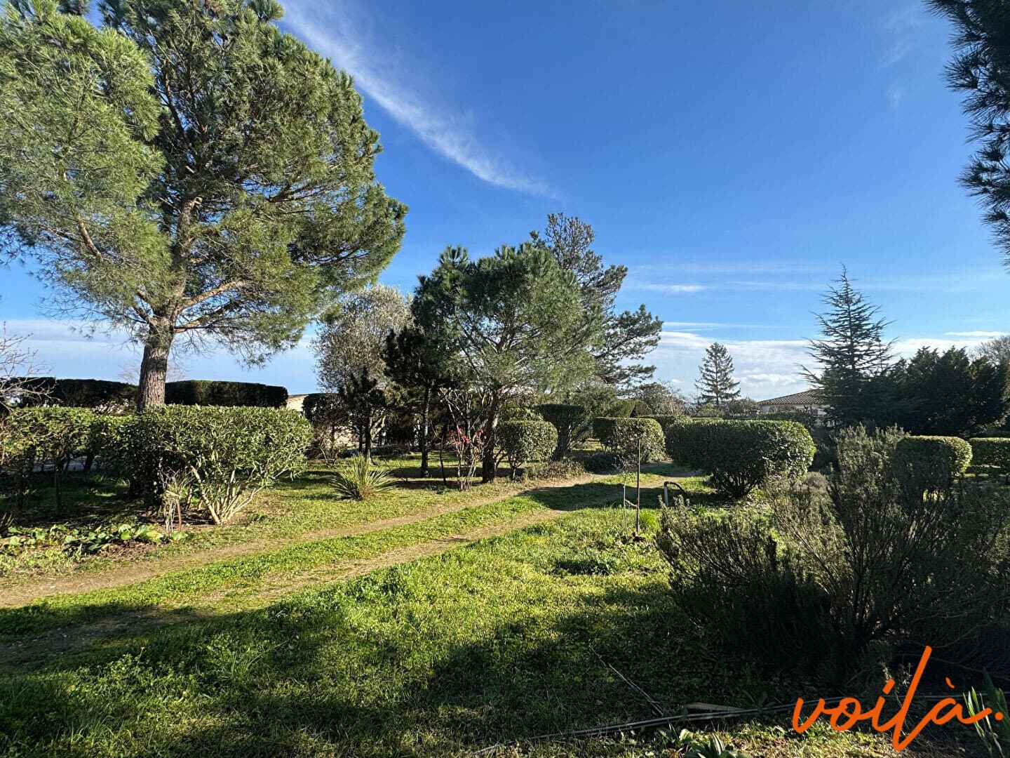 REF : SERRESFOND - BOIS DE SERRES - CARCASSONNE - Terrain 700 m2 environ plat dans pinède