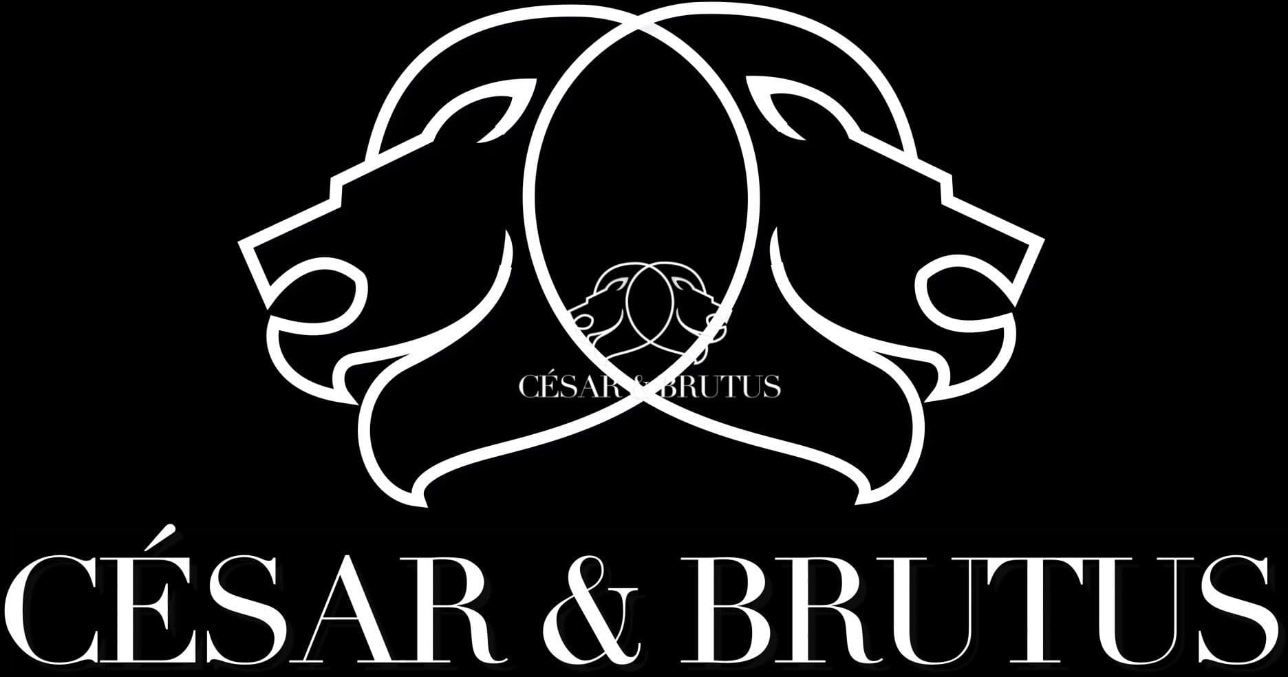 BAR PUR - PETIT LOYER - DOUBLE ENTRÉE - TERRASSE