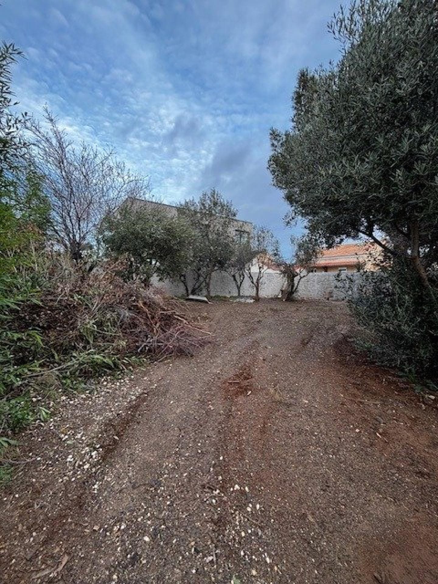 Terrain secteur Marvivo