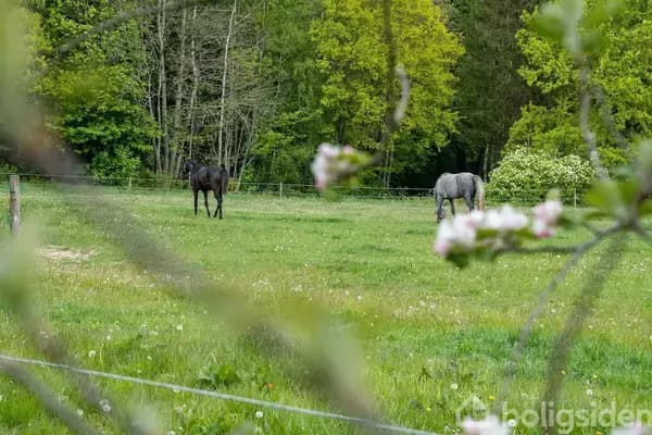 Byggegrund med skøn natur