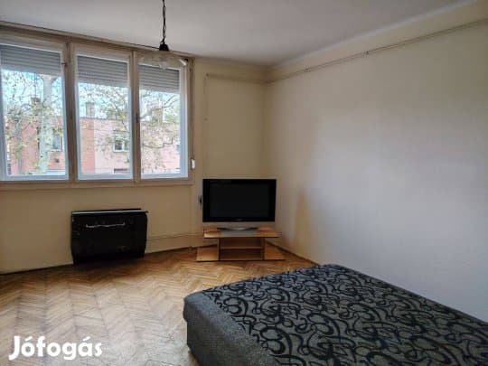 Kecskemét, Műkertben 1em. 1szobás lakás, garázzsal, tárolóval, kerttel