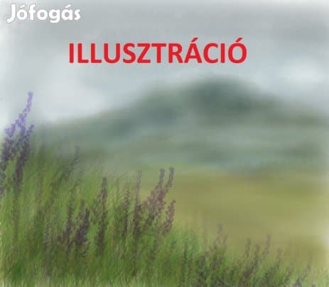Vállalkozásnak, telephelynek kiválóan alkalmas telek!